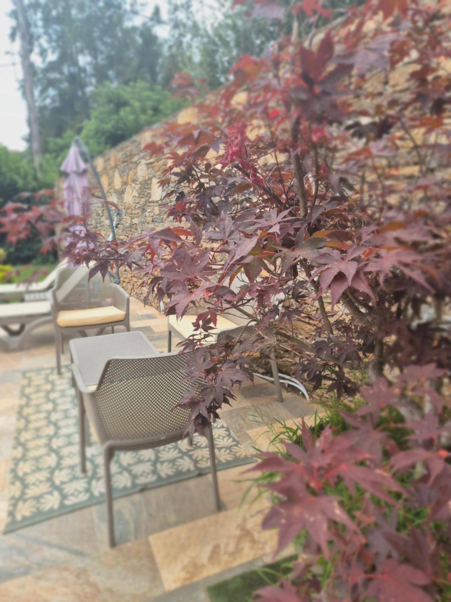 Rez De Villa Avec Piscine Privee, Wifi, Jardin Cloture Penta di Casinca Екстер'єр фото